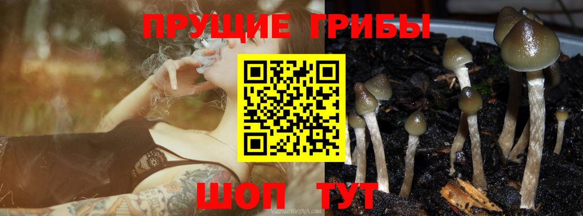 Псилоцибиновые грибы мицелий  Галлюциногенные грибы MAGIC MUSHROOMS  Мурино  Вход с VPN 